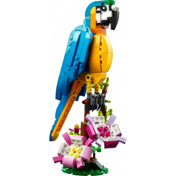 LEGO Klocki Creator 31136 Egzotyczna papuga