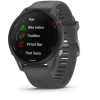 Zegarek sportowy Garmin Forerunner 255 Szary (010-02641-10)