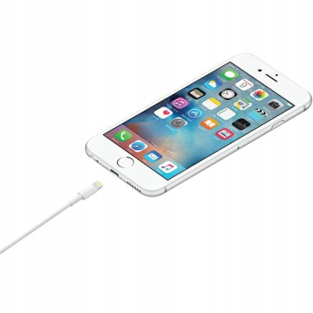 Apple USB-A to Lightning 1m
