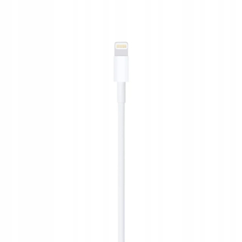 Apple USB-A to Lightning 1m